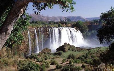 7 Days North  Ethiopia Tours